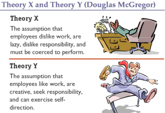 gallery/theory x and theory y